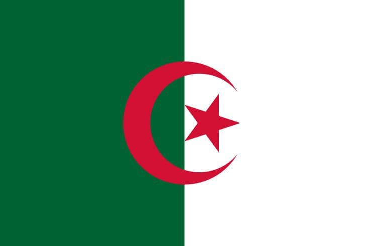 triple internatonal partners