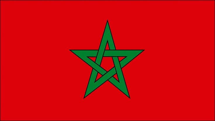 triple internatonal partners